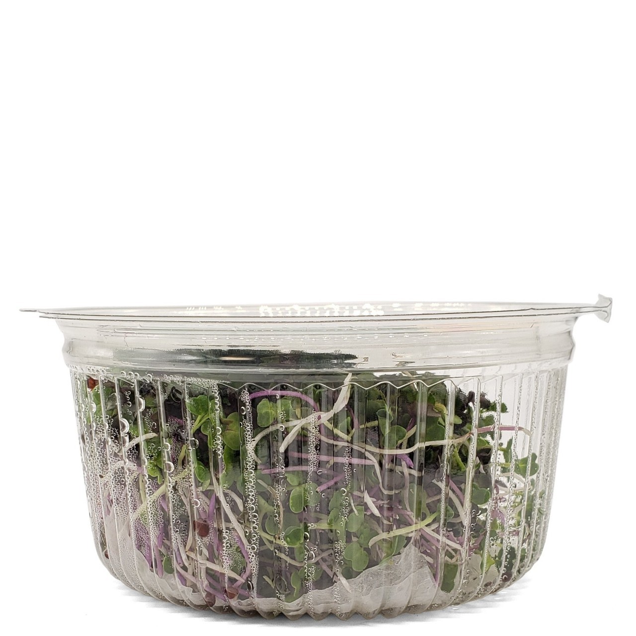 HALIFAX MICRO GREENS CABBAGE MIX 12oz