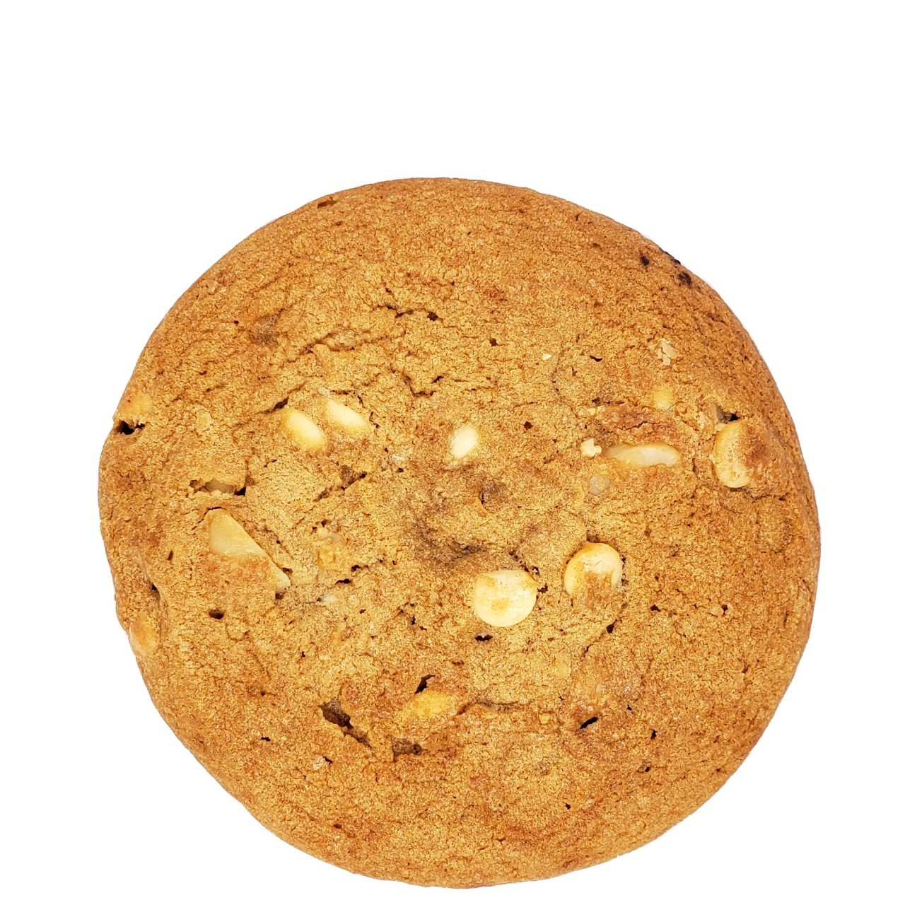 COOKIE MACADAMIA NUT LARGE 5oz