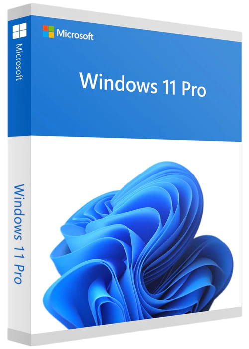 Windows 11 Professional Retail Key