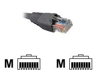 Nexxt - Patch cable - RJ-45 (M) to RJ-45 (M)