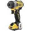 DEWALT XTREME 12V MAX* Cordless Screwdriver, 1/4-Inch, 2-Ah Batteries (DCF601F2)
