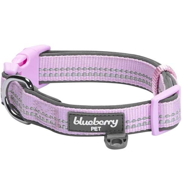 Blueberry Pet 3M Reflective Padded Dog Collar - Small (Lavender)