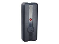 RBH Access RBH-FR-360N-H - RFID reader - 125 KHz