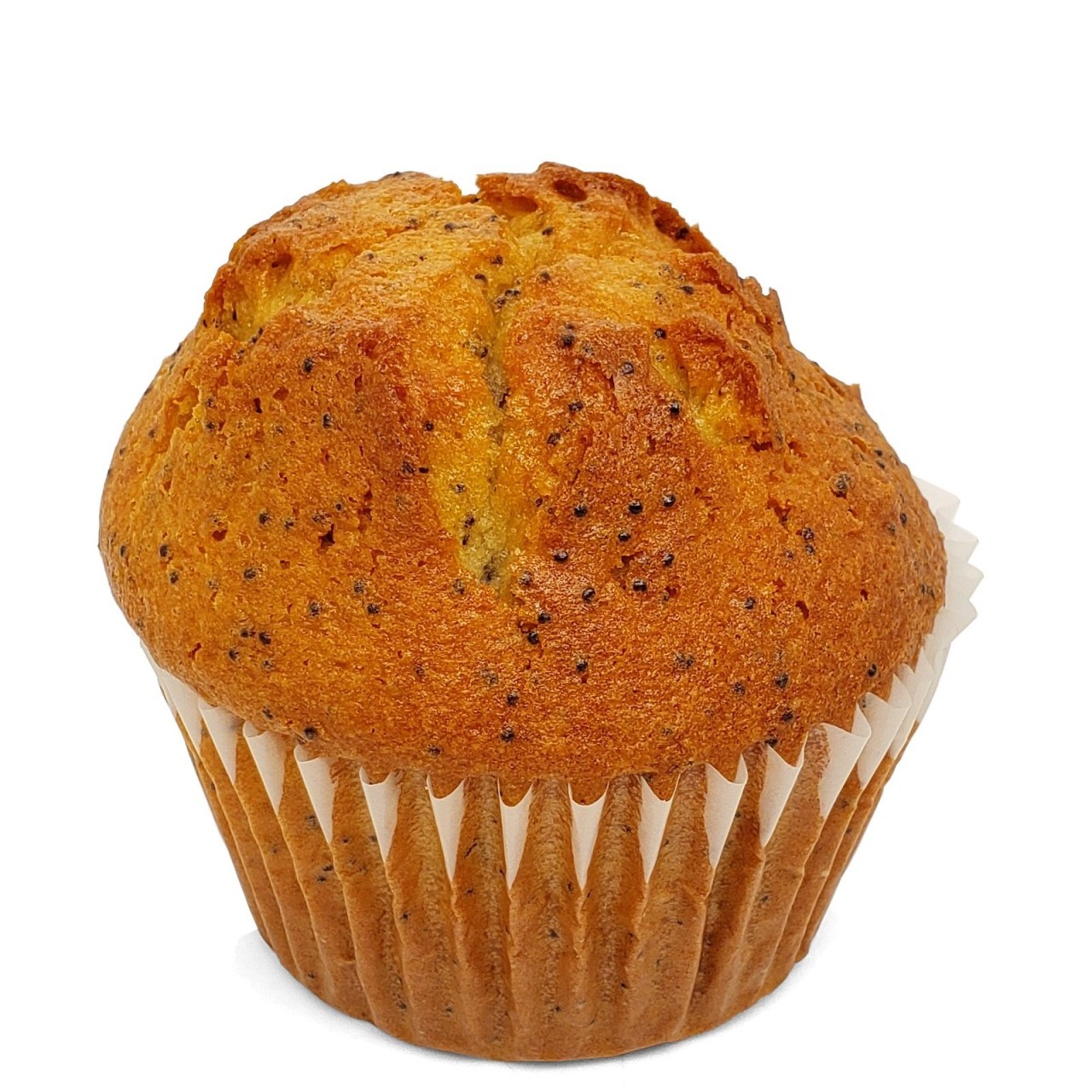 MUFFINS LEMON POPPY 6oz