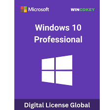 Windows 10 Professional CD Key (Digital Download)