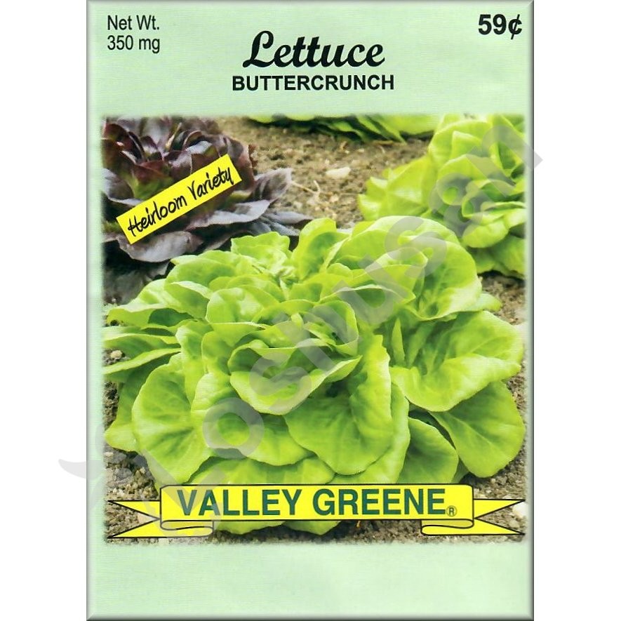 VALLEY GREENE SEEDS LETTUCE BTCRCH 350mg