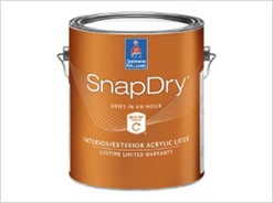 3.8 ltr. Extra White Snap Dry Paint