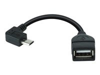 Xtech XTC360 - Data adapter - USB female to Micro-USB Type B male Xtech