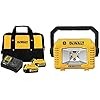 DEWALT 20V MAX Battery Starter Kit with 2 Batteries, 5.0Ah (DCB205-2CK) 12V/20V MAX Work Light, LED, Compact, Tool Only (DCL077B)