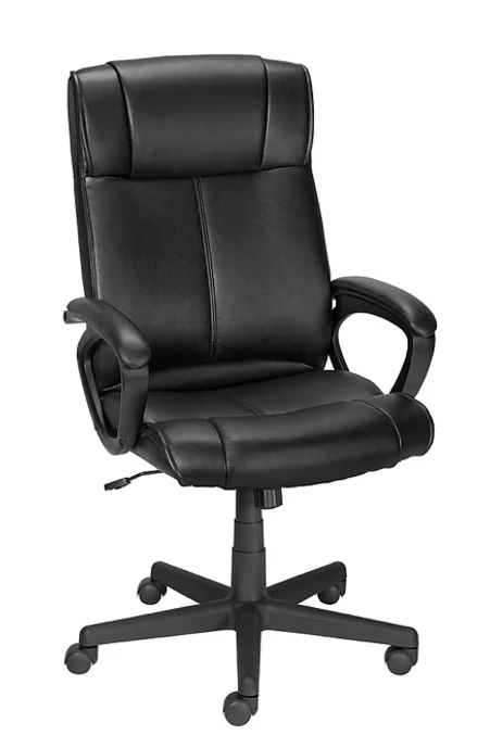 Turcotte Luxura Faux Leather Computer and Desk Chair