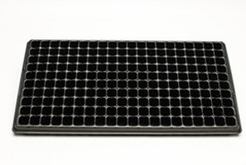 200 Cell Seedling Tray