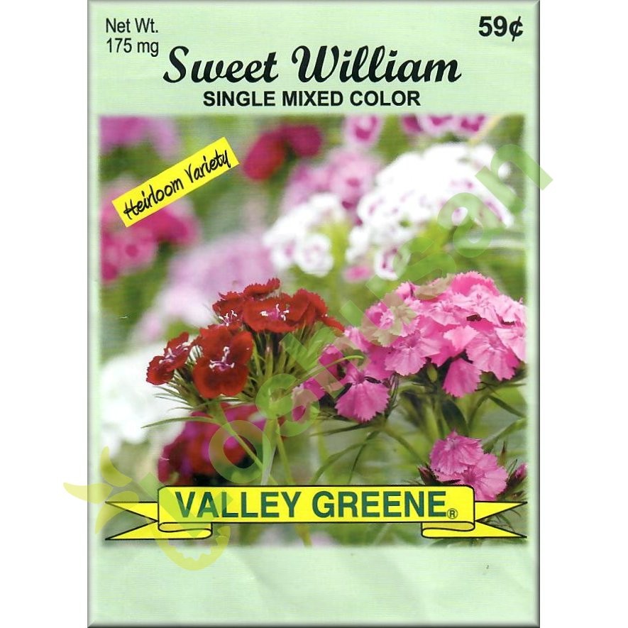 VALLEY GREENE SEEDS SWEET WILLIAM 175mg