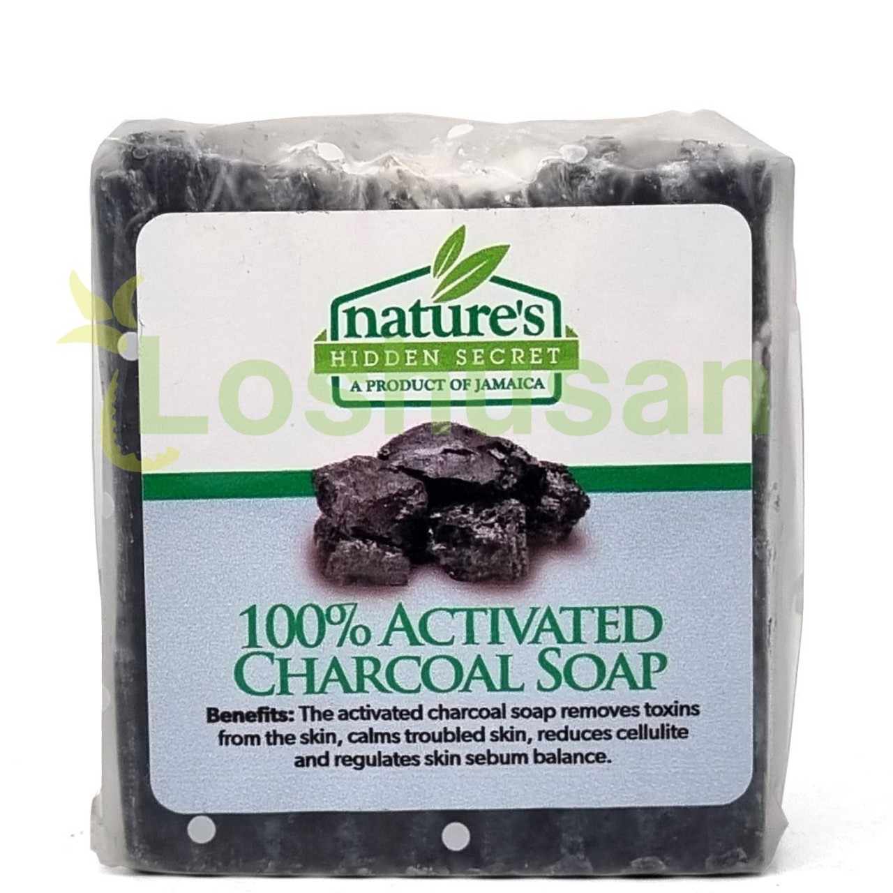 NATURES HID SECRET SOAP CHARCOAL 1ct