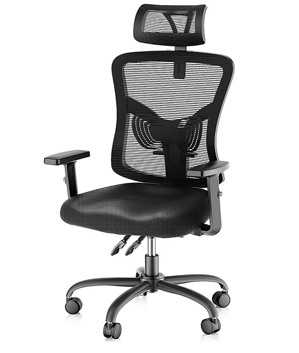 NobleWell Ergonomic High Back Mesh Office Chair with Lumbar Support (Black)