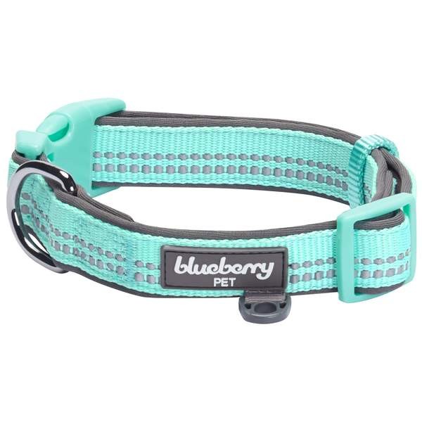 Blueberry Pet 3M Reflective Padded Dog Collar - Medium (Mint Blue