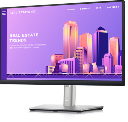 Dell P2422H - LED monitor - 24"