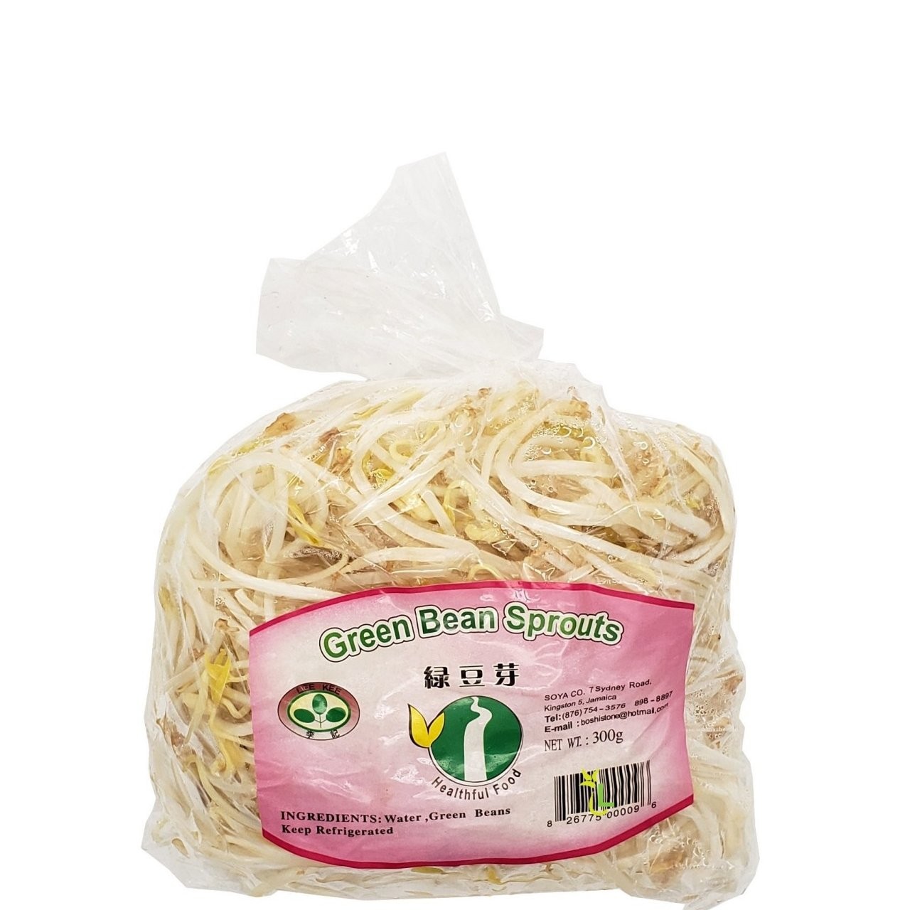 LEE KEE GREEN BEAN SPROUTS 300g