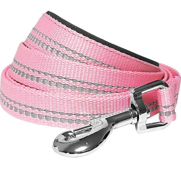 Blueberry Pet 3M Reflective Dog Leash - Pink