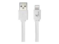 Xtech - Lightning cable - USB male to Lightning male
