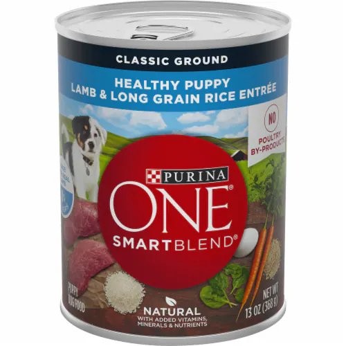 PURINA ONE LAMB & LONG GRAIN RICE 13oz