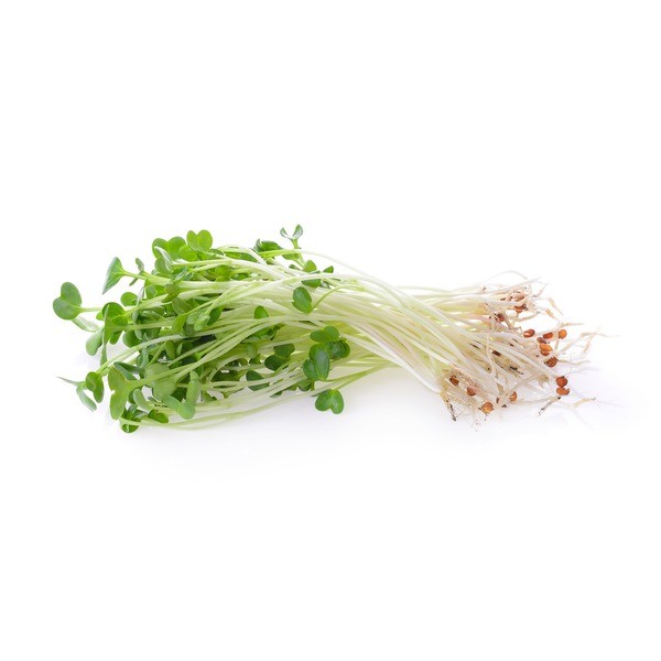 ALFALFA SPROUTS 6oz