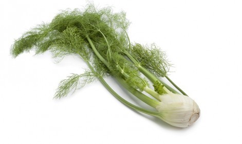 QUALITY HARVEST FENNEL 25g