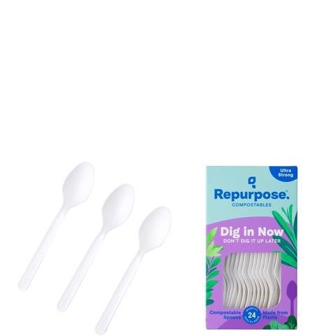 REPURPOSE SPOONS 24ct