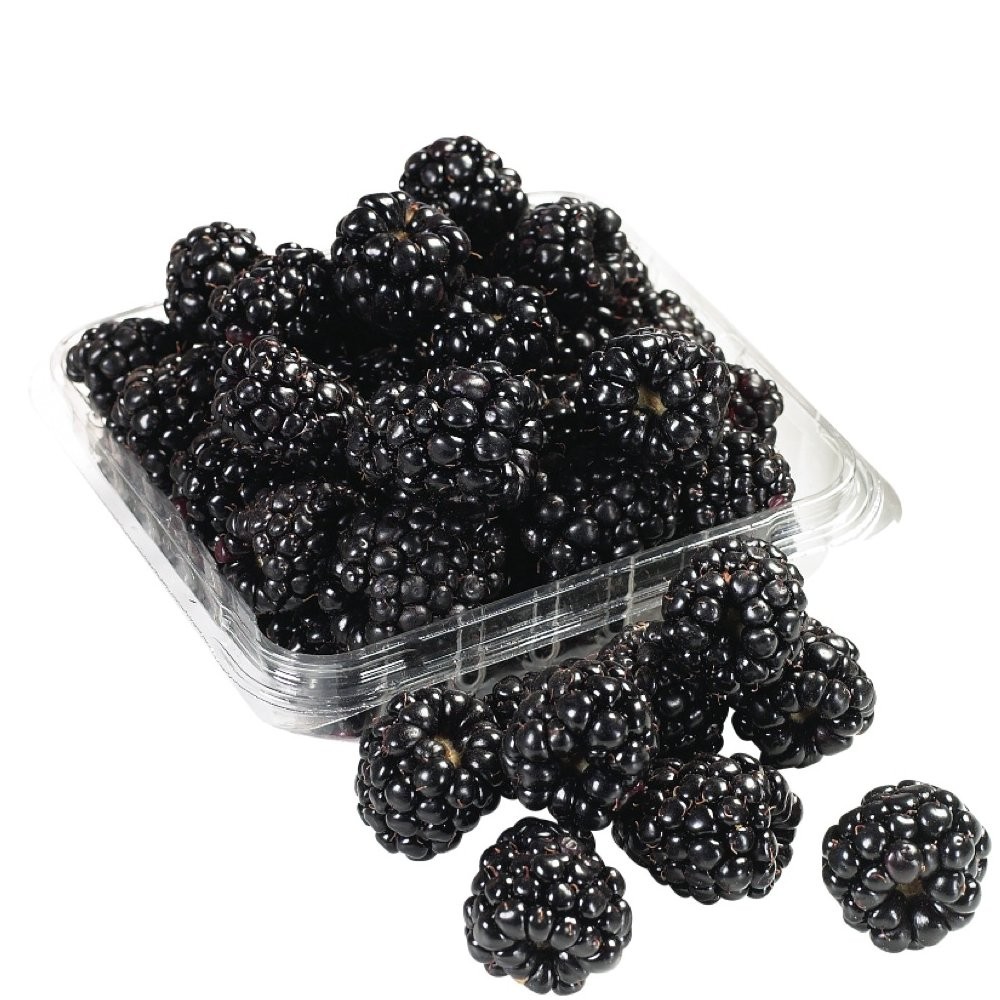 BLACKBERRIES CLAMSHELL 6oz