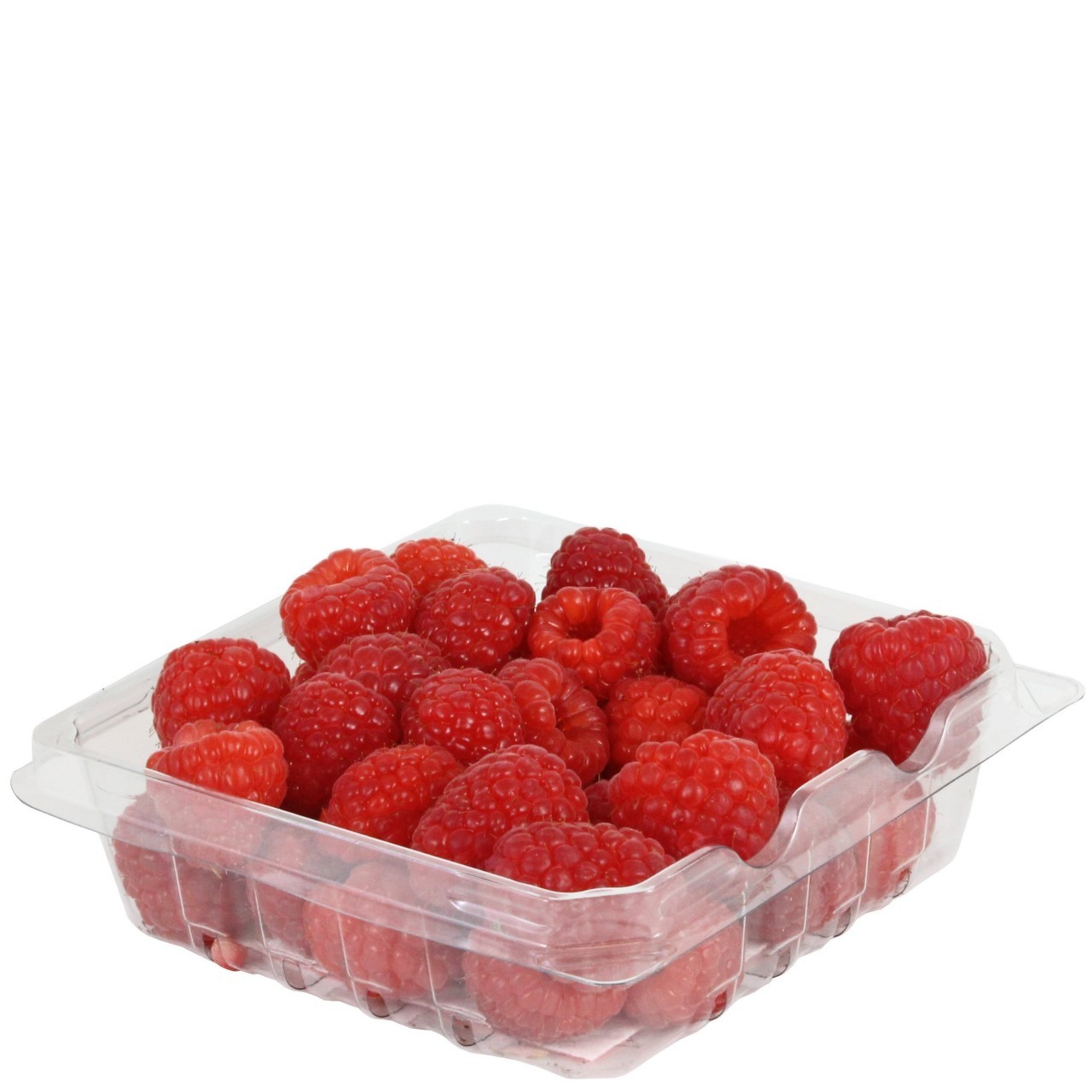 RASPBERRIES CLAMSHELL 6oz