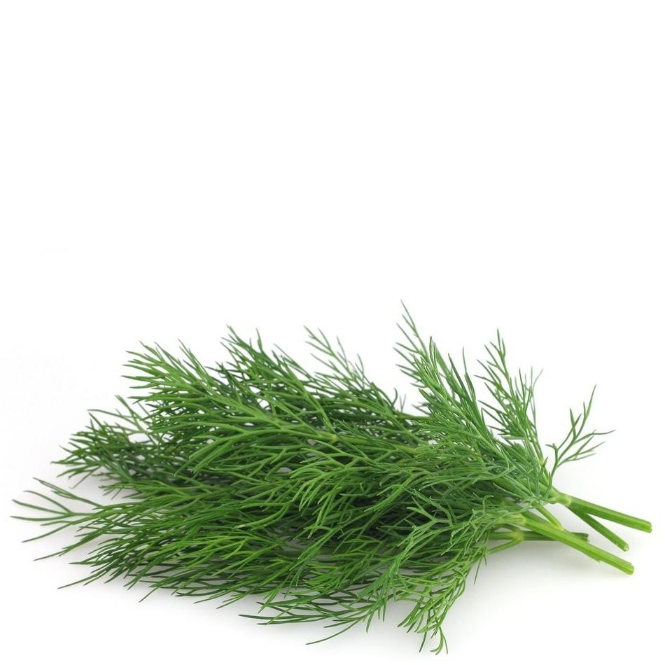 DILL LOCAL pk