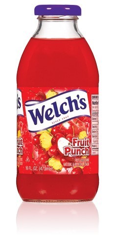 Welch's Fruit Punch, 16 oz
