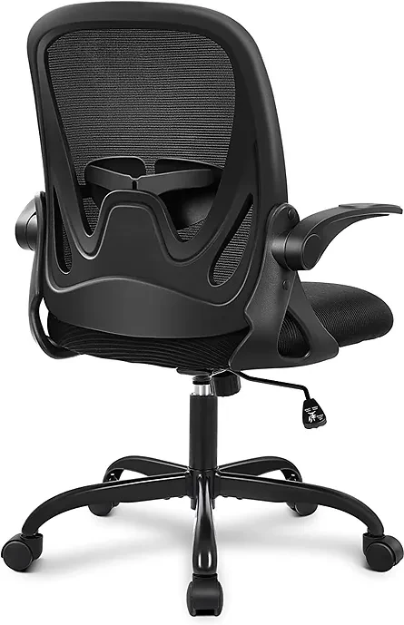 Primy Ergonomic Desk Chair with Adjustable Lumbar Support
