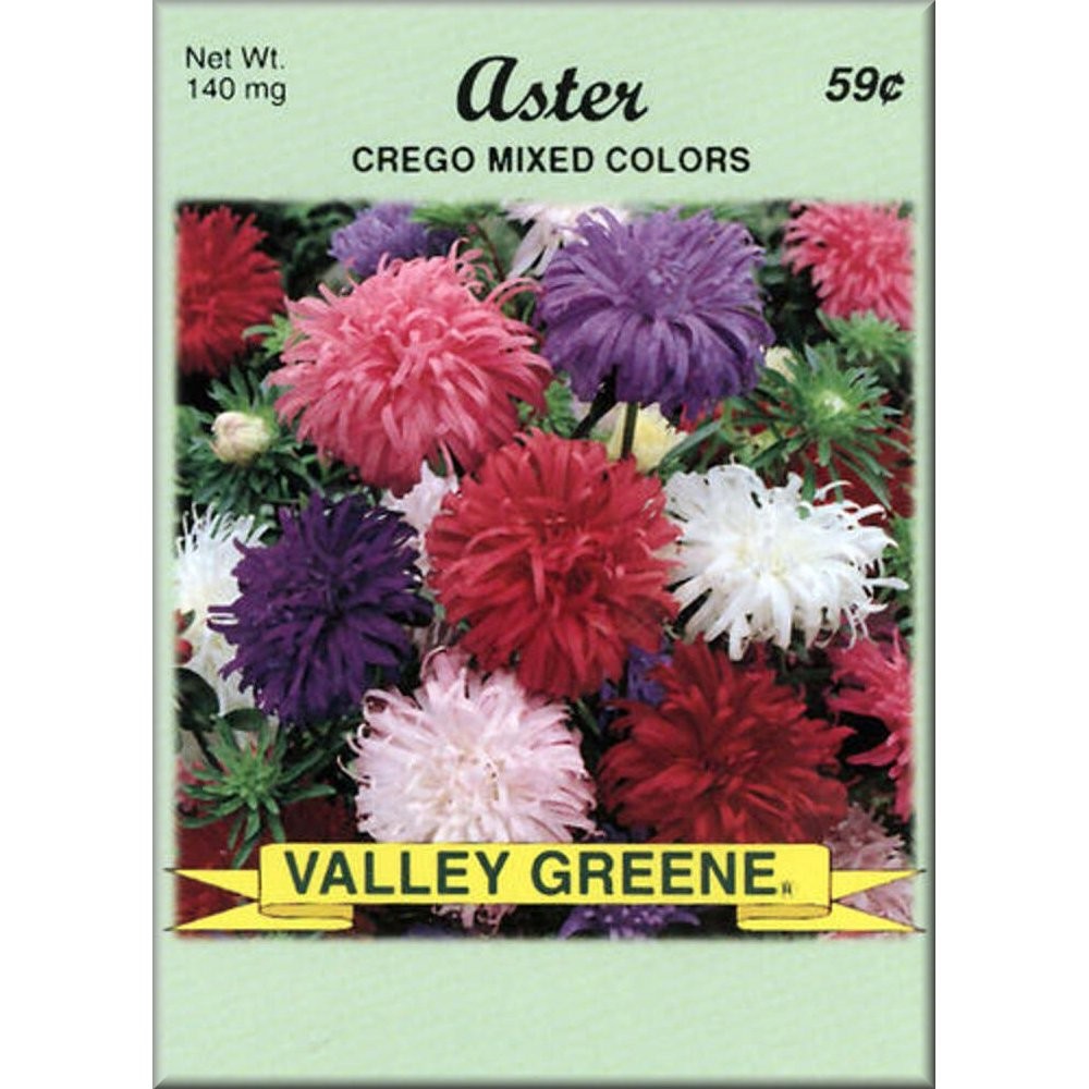 VALLEY GREENE SEEDS ASTER 140mg